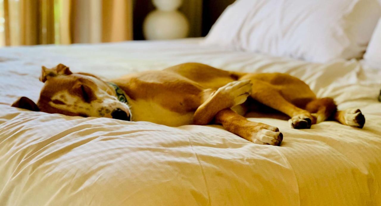 Sonesta Simply Suites Houston Galleria Medical Center Ngoại thất bức ảnh